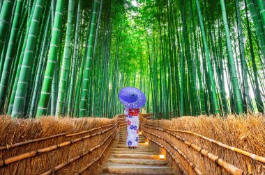 Bambu Ormanı. Japonya 'nın Kyoto kentindeki Bambu Ormanı' nda geleneksel Japon kimonosu giyen Asyalı kadın..