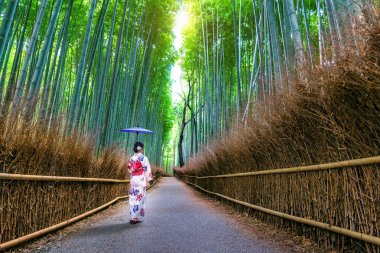 Bambu Ormanı. Japonya 'nın Kyoto kentindeki Bambu Ormanı' nda geleneksel Japon kimonosu giyen Asyalı kadın..