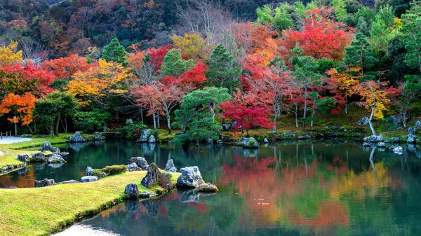 Kleurrijke Bladeren Herfstpark Japan — Stockfoto