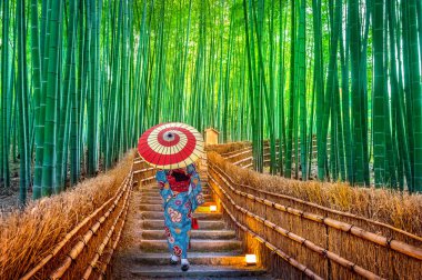 Bambu Ormanı. Japonya 'nın Kyoto kentindeki Bambu Ormanı' nda geleneksel Japon kimonosu giyen Asyalı kadın..