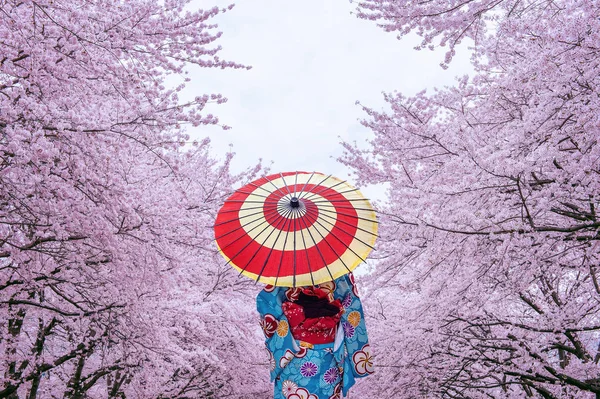 Japonya Ilkbaharda Geleneksel Japon Kimonosu Kiraz Çiçeği Giyen Asyalı Kadın — Stok fotoğraf