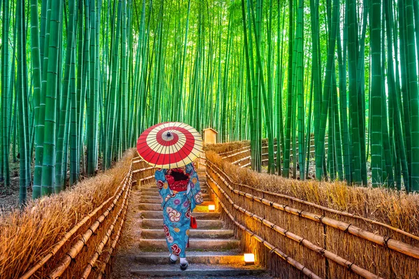 Floresta Bambu Mulher Asiática Vestindo Quimono Tradicional Japonês Floresta Bambu — Fotografia de Stock