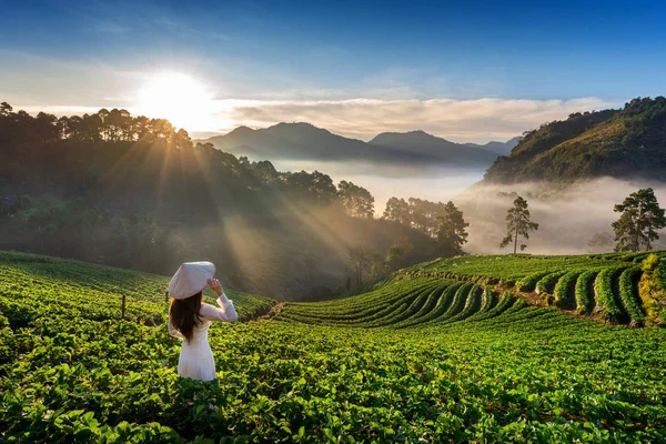 Mujer Asiática Vistiendo Cultura Vietnam Tradicional Jardín Fresas Doi Ang —  Fotos de Stock