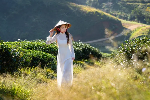 Asian Woman Wearing Vietnam Culture Traditional Green Tea Field — Stock Photo, Image