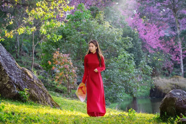 Woman Wearing Vietnam Culture Traditional Cherry Blossom Park — Stock Photo, Image