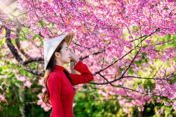 Wanita Yang Mengenakan Budaya Vietnam Tradisional Taman Bunga Sakura — Stok Foto