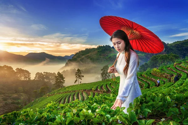 Asian Woman Wearing Vietnam Culture Traditional Strawberry Garden Doi Ang — Stock Photo, Image