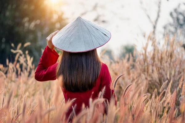 Femeie Asiatică Care Poartă Cultura Vietnamului Tradițional Câmpul Flori Fântânii — Fotografie, imagine de stoc