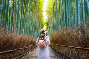 Kyoto, Japonya bambu ormanında, yürüyen kadın.