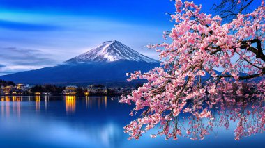 Картина, постер, плакат, фотообои "гора фудзи и вишня весной, япония. картины пейзаж природа море шишкин города ретро", артикул 264704298