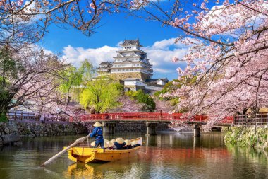 Himeji kiraz çiçekleri ve kale, Japonya.