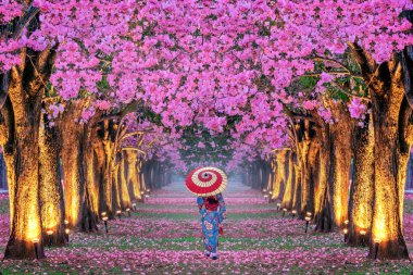 Güzel pembe çiçek ağaçlar ve Kimono kız Satırlar.