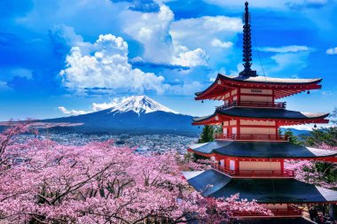  İlkbaharda kiraz çiçekleri, Japonya 'da Chureito pagoda ve Fuji dağı.