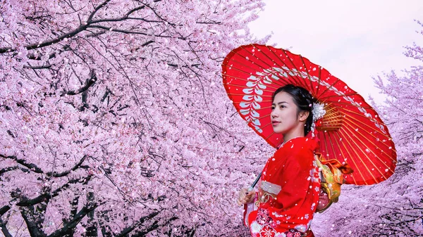 Mulher asiática vestindo quimono tradicional japonês e flor de cereja na primavera, Japão. — Fotografia de Stock