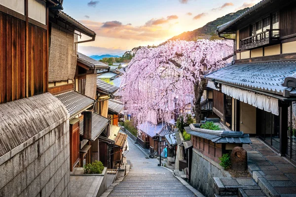 Třešňový květ ve jarní době na historickém okrsku Higashiyama, Kjóto v Japonsku. — Stock fotografie