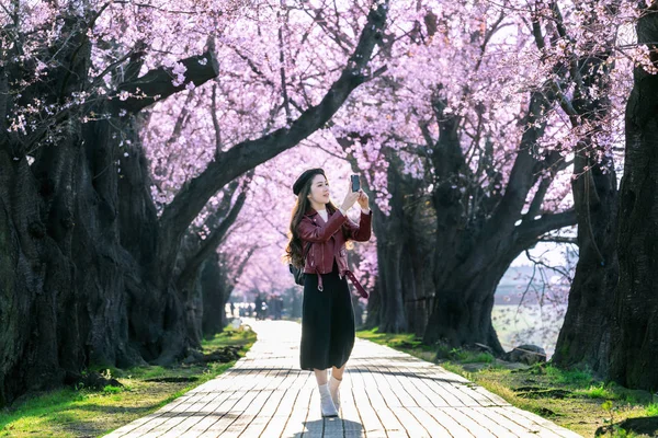 Young woman walking in cherry blossom garden on a spring day. Row cherry blossom trees in Kyoto, Japan — Stock Photo, Image