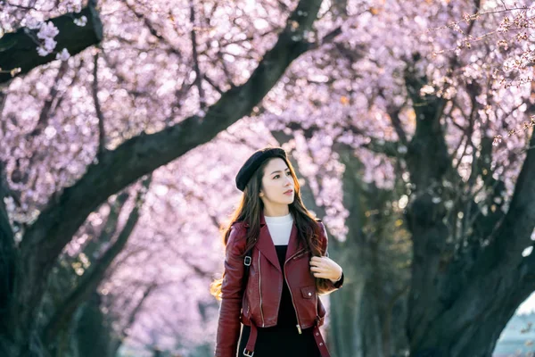 Nuori nainen kävelee kirsikankukka puutarhassa kevätpäivänä. Rivi kirsikankukkia puita Kiotossa, Japanissa — kuvapankkivalokuva