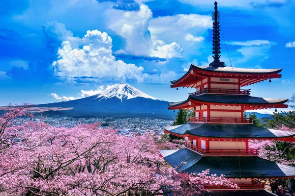 Flores de cereja na primavera, pagode Chureito e montanha Fuji no Japão. — Fotografia de Stock