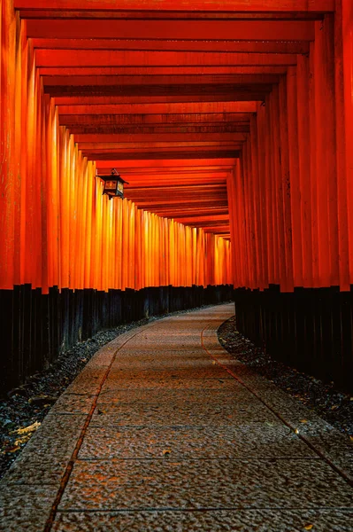 Den röda torii gates gångvägen på fushimi inari taisha shrine i Kyoto, Japan. — Stockfoto