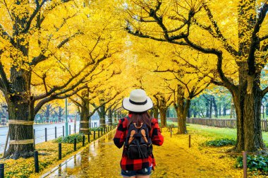 Sonbaharda sarı ginkgo ağacının Satır yürüyen sırt çantası ile kadın gezgin. Tokyo'da sonbahar parkı, Japonya.