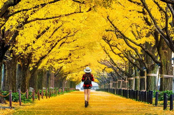 Sonbaharda sarı ginkgo ağacının Satır yürüyen sırt çantası ile kadın gezgin. Tokyo'da sonbahar parkı, Japonya. — Stok fotoğraf
