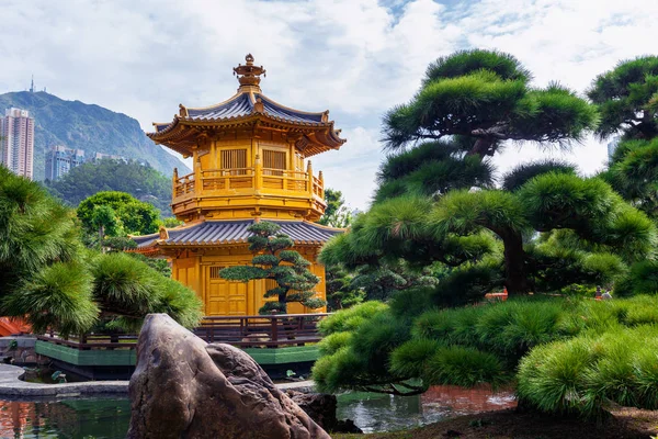 Pavilhão de Ouro em Nan Lian Garden perto do templo Chi Lin Nunnery, Hong Kong. — Fotografia de Stock