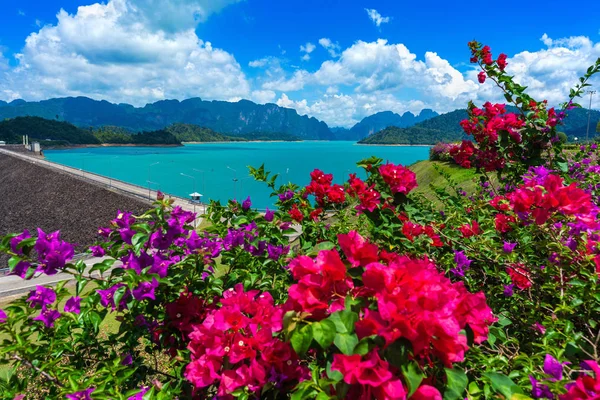 Lindas flores em Ratchaprapha Dam no Parque Nacional Khao Sok, Província de Surat Thani, Tailândia . — Fotografia de Stock