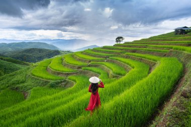 Tayland 'ın Chiangmai kentindeki Ban pa bong piang' da geleneksel Vietnam kültürü giyen Asyalı kadın..