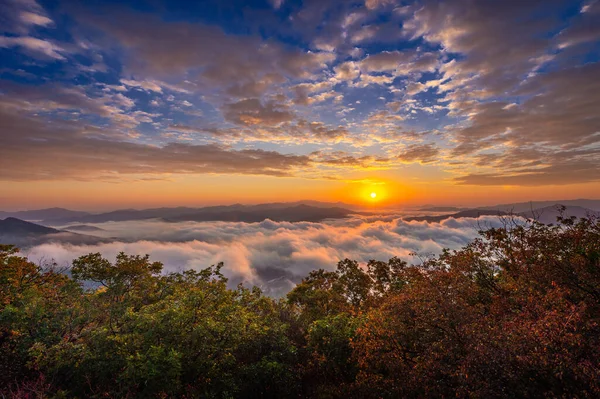 Beautiful Morning Mist Sunrise South Korea — Stock Photo, Image