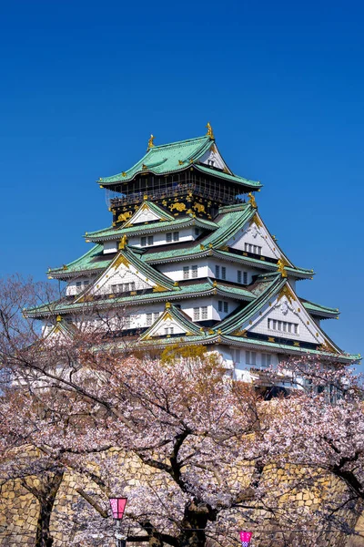 日本大阪的樱花和城堡 — 图库照片