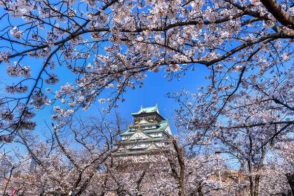 大阪市の桜と城 — ストック写真