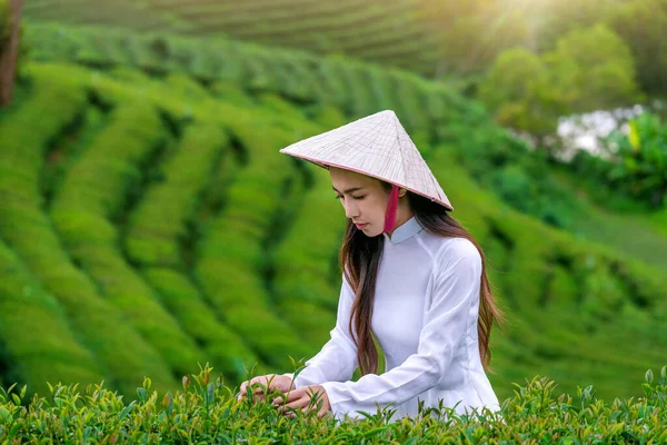 Mujer Asiática Vistiendo Cultura Vietnamita Tradicional Plantación —  Fotos de Stock