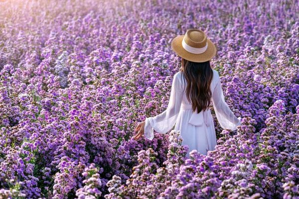 Beautiful Girl White Dress Enjoying Margaret Flowers Fields — Stock Photo, Image