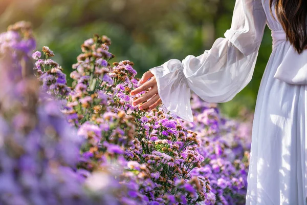 Kvinnors Händer Rör Lila Blommor Fälten — Stockfoto