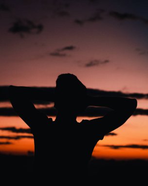 Yazın gün batımı ve bitkiler