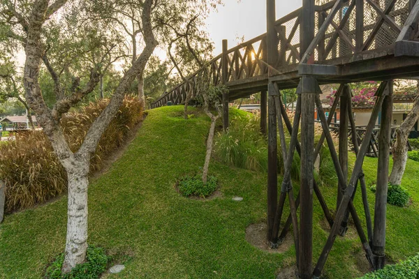 公园里有树木 灌木丛和落日的木桥 — 图库照片