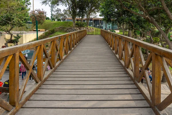 Path Wooden Bridge Next Trees Park — Stock fotografie