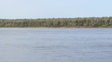 Oka nehri, kıyı şeridi, küçük dalgalar, orman, soldan sağa kayan