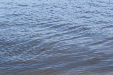 Nehir, suda küçük dalgalar, yavaş akış.