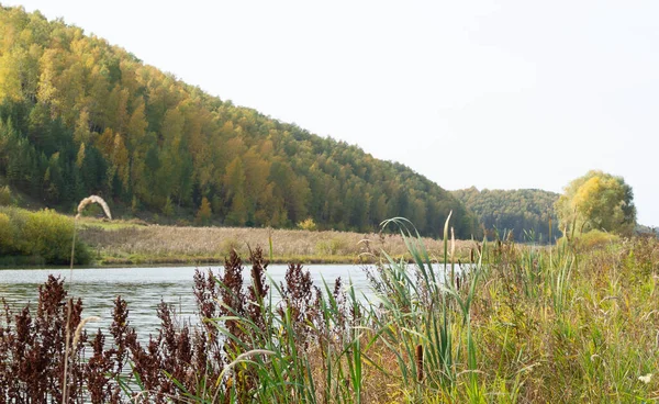 Jezioro Jesienią Rano Górami Brzegu Roślinnością — Zdjęcie stockowe
