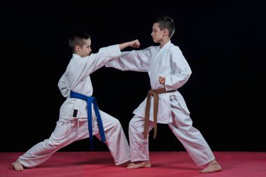 Çocuk karate darbeler eğitim
