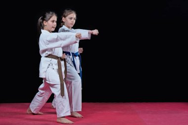 Çocuklar eğitim karate