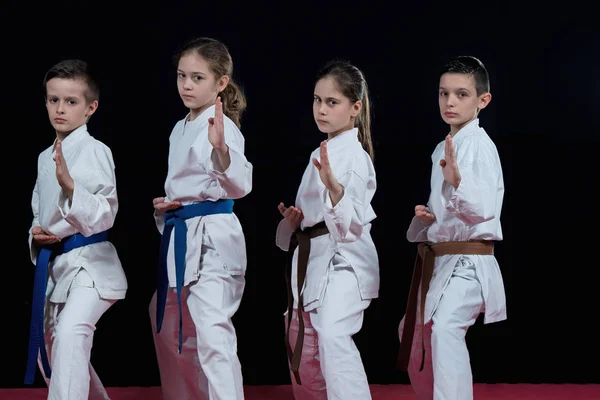 Çocuklara Karate dövüş sanatları grubu