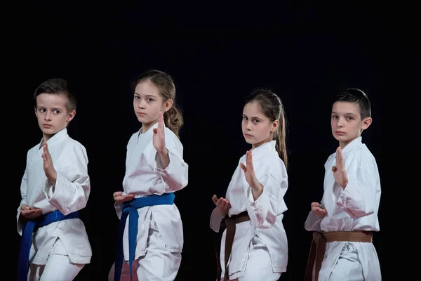 Grupa Dzieci Sztuk Walki Karate — Zdjęcie stockowe