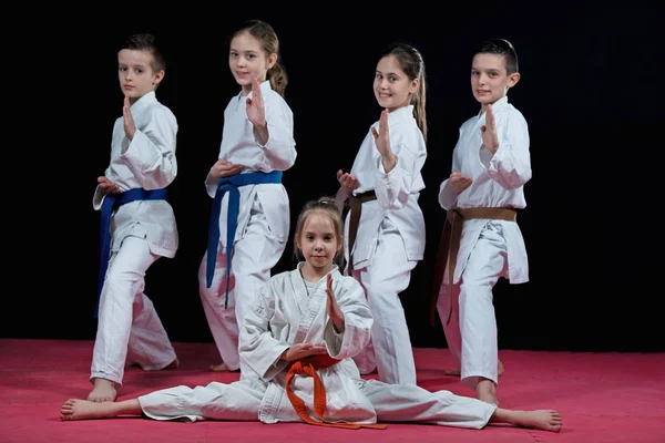 Çocuklara Karate dövüş sanatları grubu