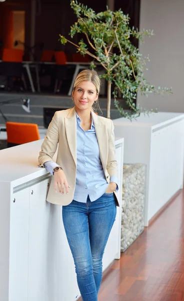 Successful Business Woman Man Working Office — Stock Photo, Image