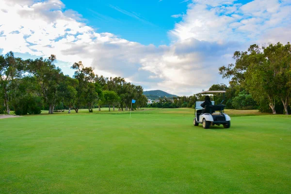 ゴルフ場でゴルフカート 緑のフィールドと曇りの青空 草や木のある春の風景 — ストック写真