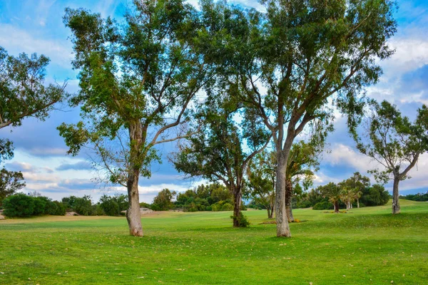 Panorama Vista Campo Golfe Com Bonito Putting Green — Fotografia de Stock