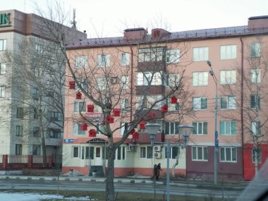 Bir ağaçta bir sürü kuş evi