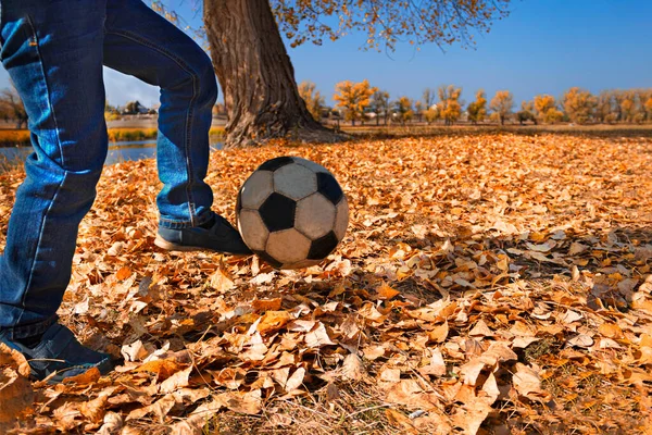 Çocuk Ayağı Sonbahar Yeşilliklerinde Yatan Futbol Topuna Çarpıyor Seçici Yumuşak — Stok fotoğraf